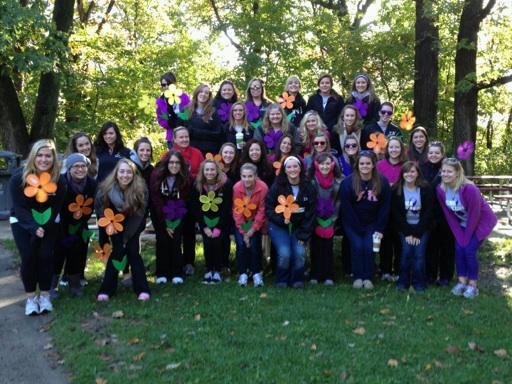 Picture of The Walk to End Alzheimers